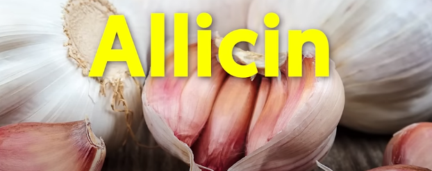 Why is garlic important for All?
